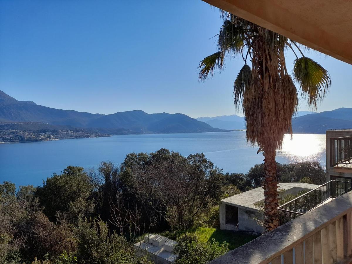 Villa Garden Apartments Herceg Novi Dış mekan fotoğraf