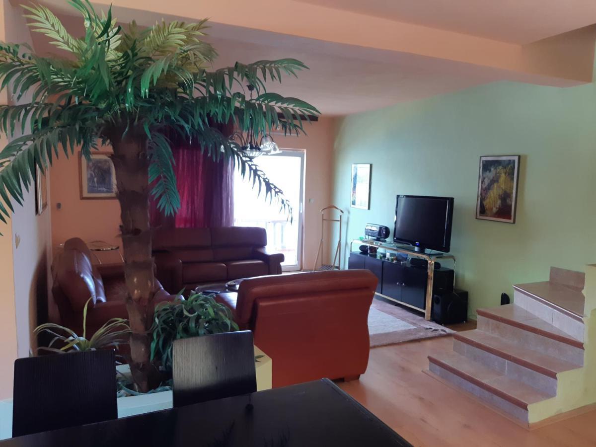 Villa Garden Apartments Herceg Novi Dış mekan fotoğraf