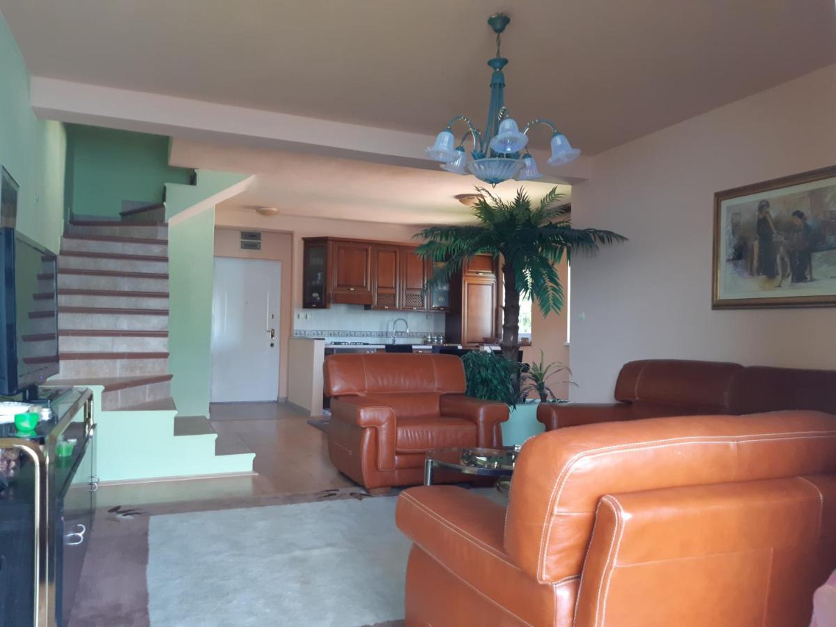 Villa Garden Apartments Herceg Novi Dış mekan fotoğraf