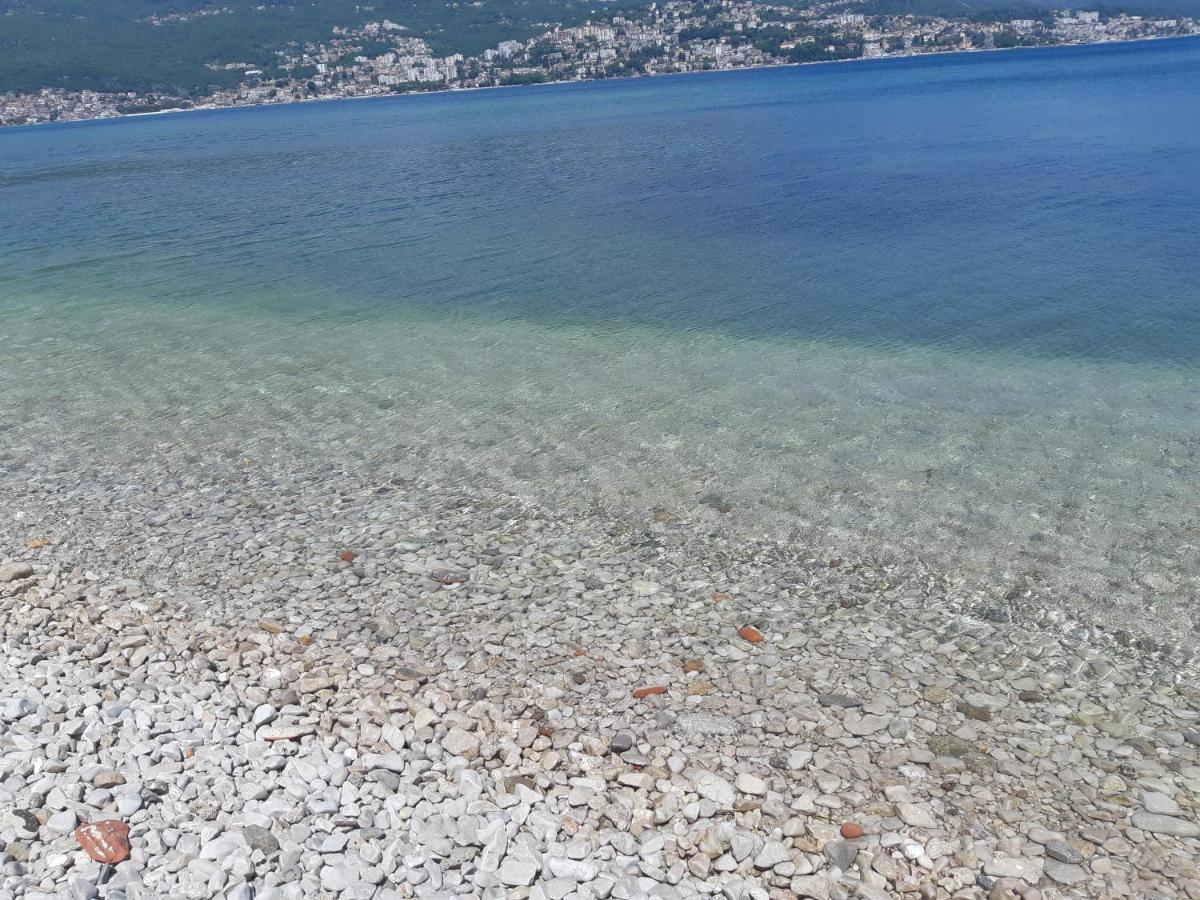 Villa Garden Apartments Herceg Novi Dış mekan fotoğraf