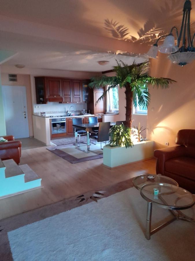 Villa Garden Apartments Herceg Novi Dış mekan fotoğraf