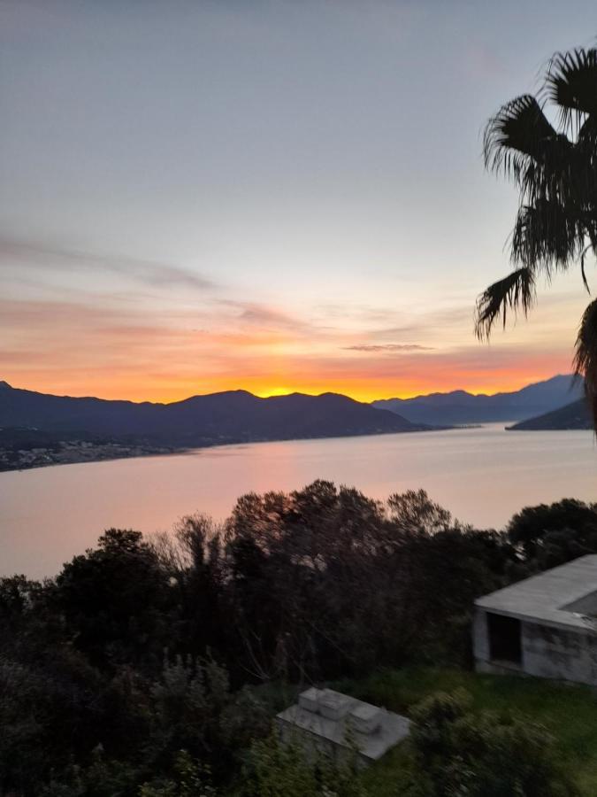 Villa Garden Apartments Herceg Novi Dış mekan fotoğraf